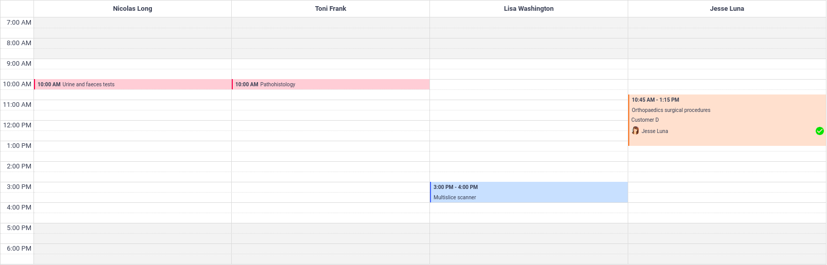 Amelia WordPress - Calendar Day View