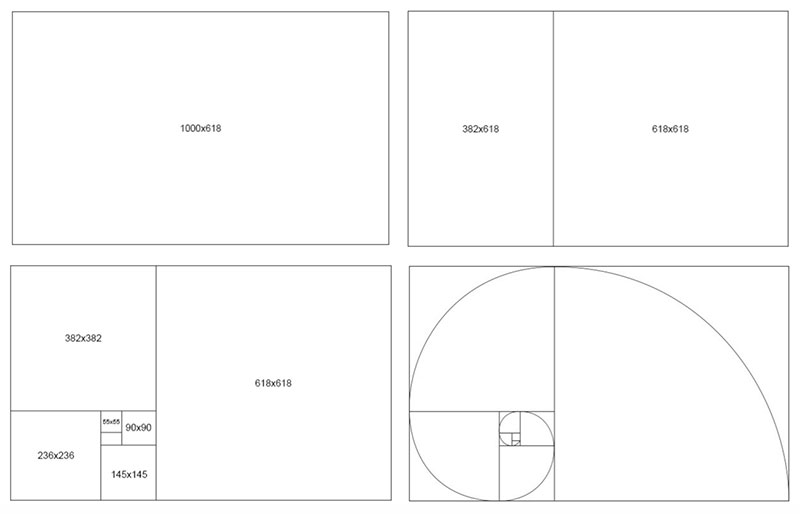 Golden Ratio in Design: What You Need to Know About It