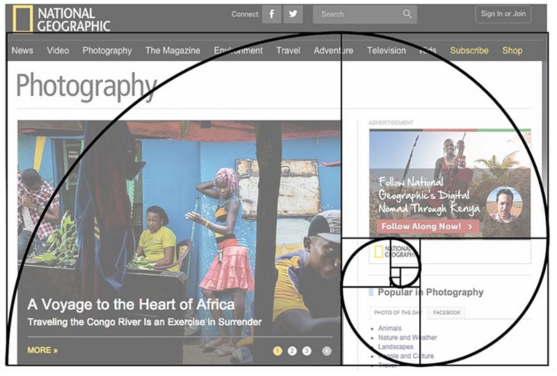golden-ratio-in-design-what-you-need-to-know-about-it