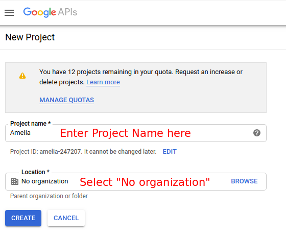 Project Name Google calendar configuration Amelia WordPress Booking plugin