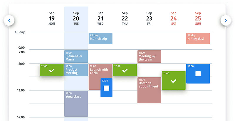 doodle calendar view with meetings and colored fields