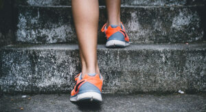 Trouble Finding a Gym WordPress Theme? These Are the Best