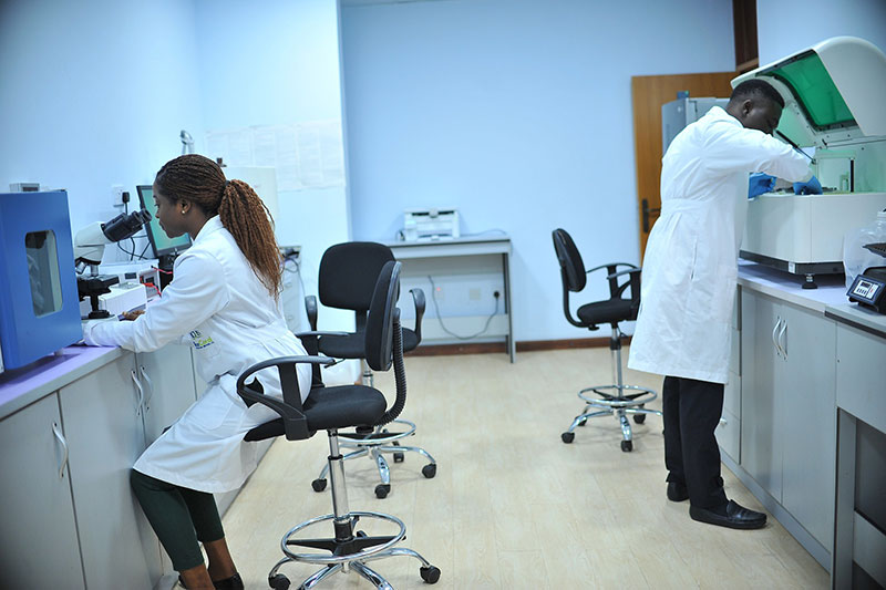 two doctors doing laboratory analyses 