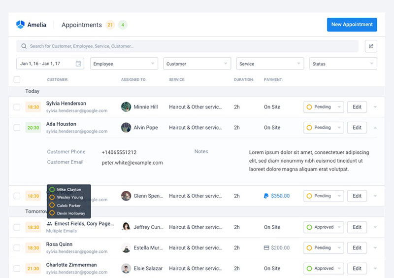 amelia appointment scheduling calendar overview