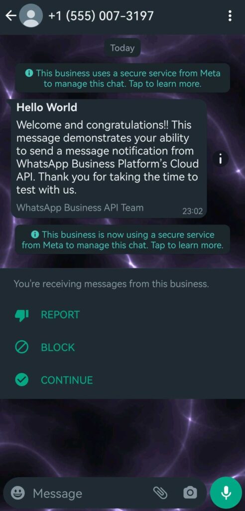 WhatsApp-test-success