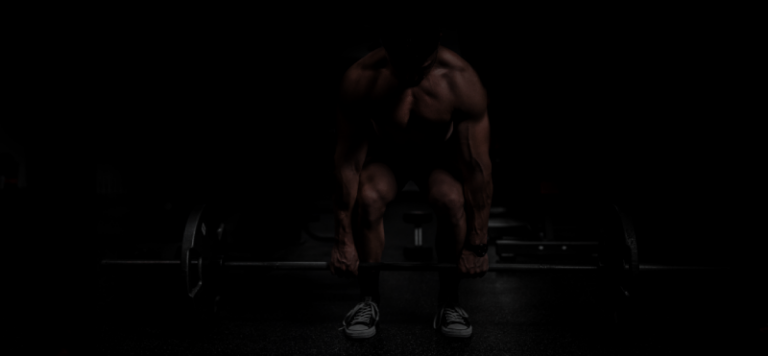 The Best WordPress Plugins for Gym Websites