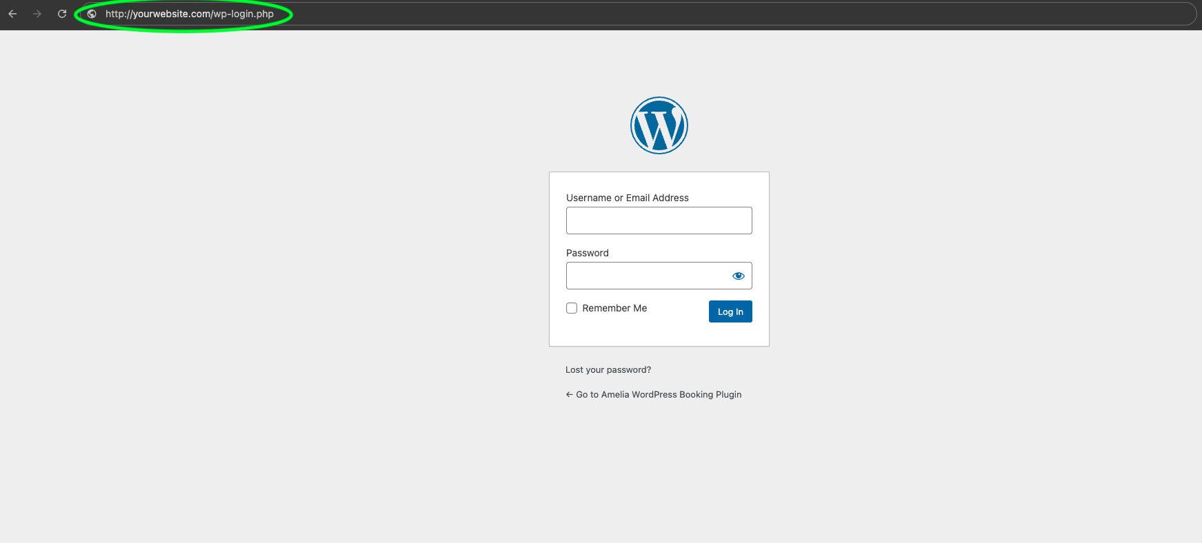 How to access your default WordPress login page