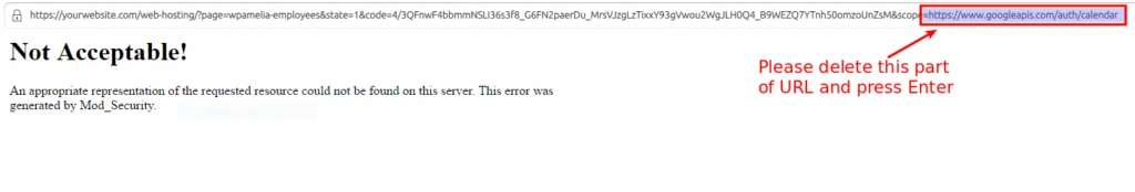 Example of Google Calendar connection error in Amelia