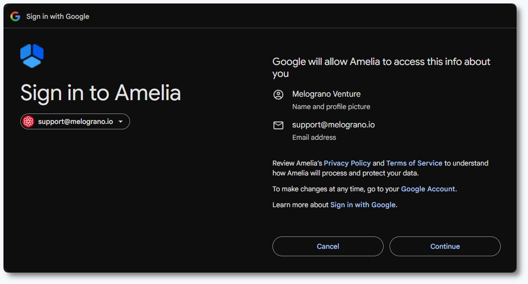 Googleがアメリアにアクセスを許可する情報のリスト