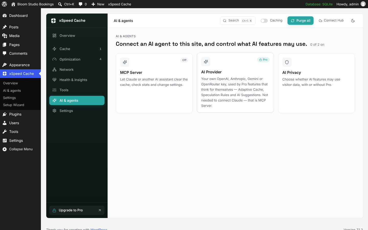The AI & agents screen: the MCP server is free; your own AI provider key is a Pro feature.