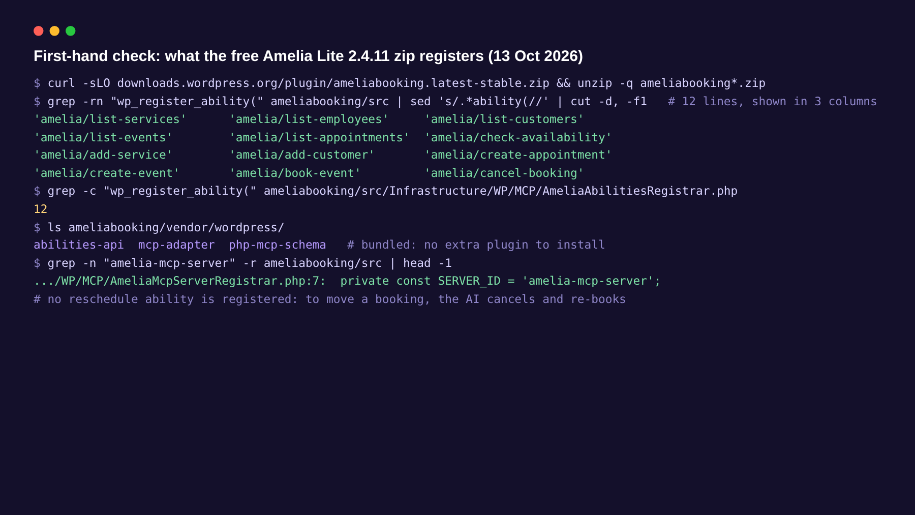 Terminal-style render of a code check on Amelia Lite 2.4.11: twelve registered abilities from list-services to cancel-booking, and bundled abilities-api and mcp-adapter folders.